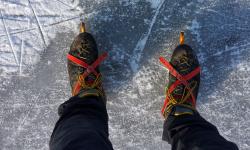 Featured image of post The Dutch Ice Fever