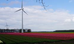 Featured image of post Tuliproute Almere
