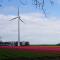 Tuliproute Almere