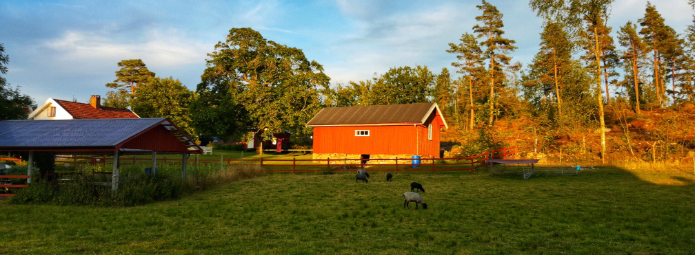 Featured image of post Töllås Fårgård