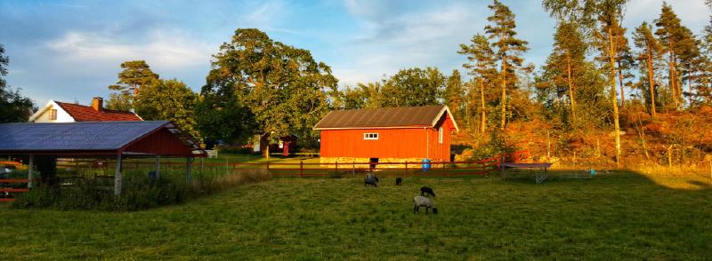 Featured image of post Töllås Fårgård