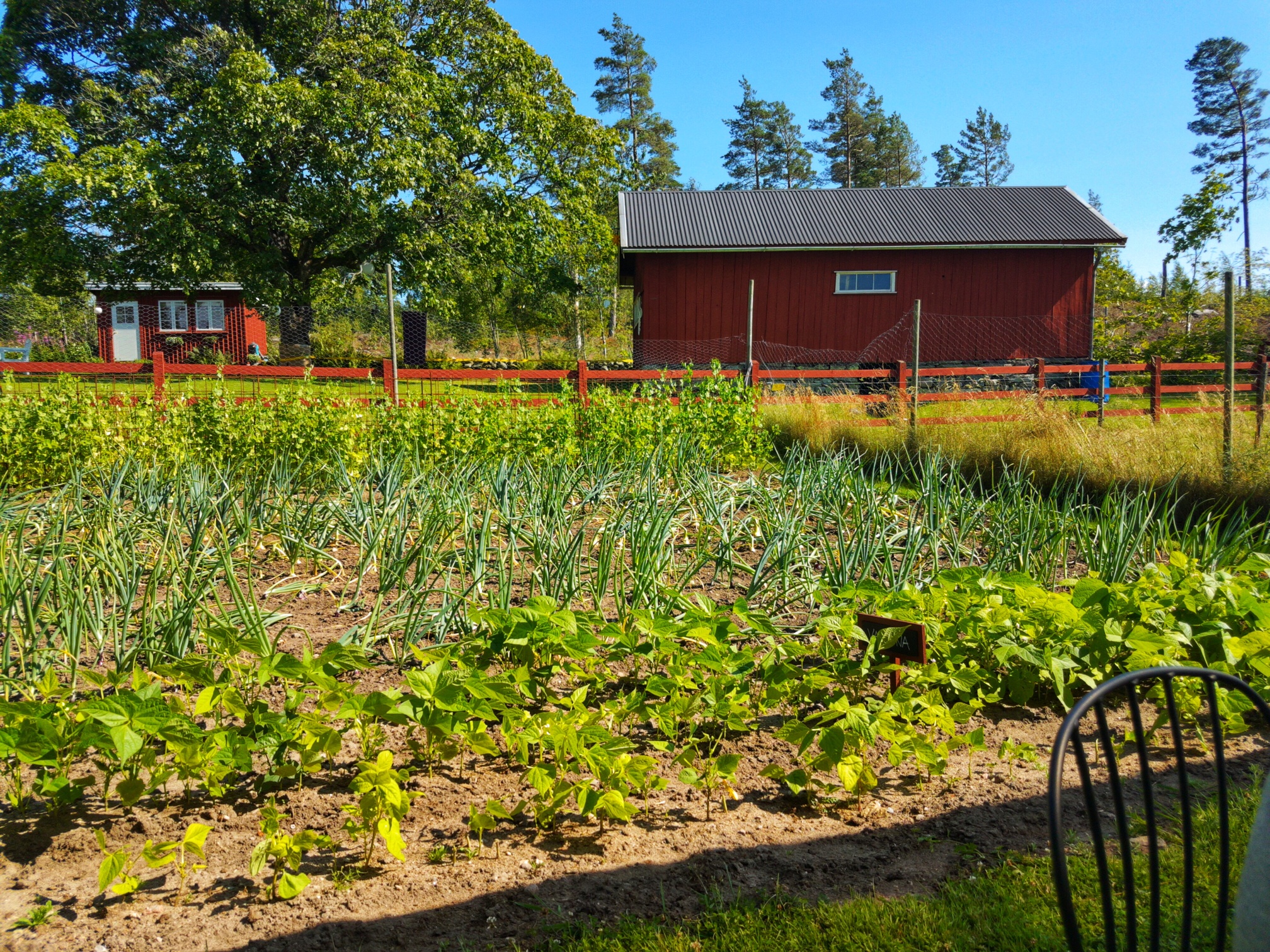 Well maintained garden