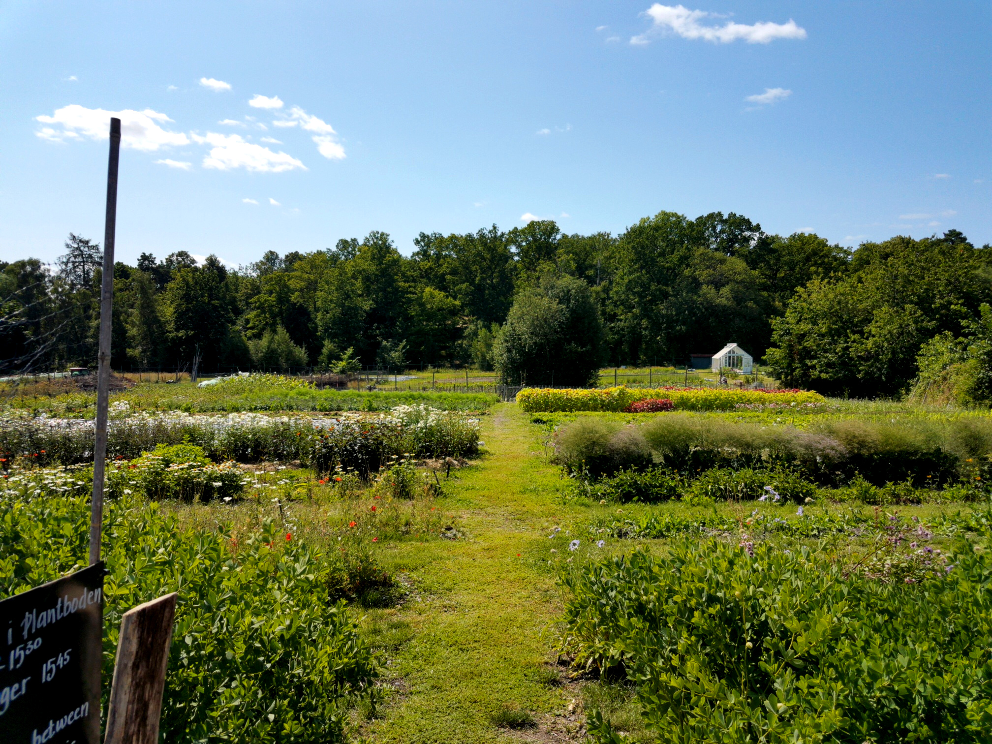 Green garden