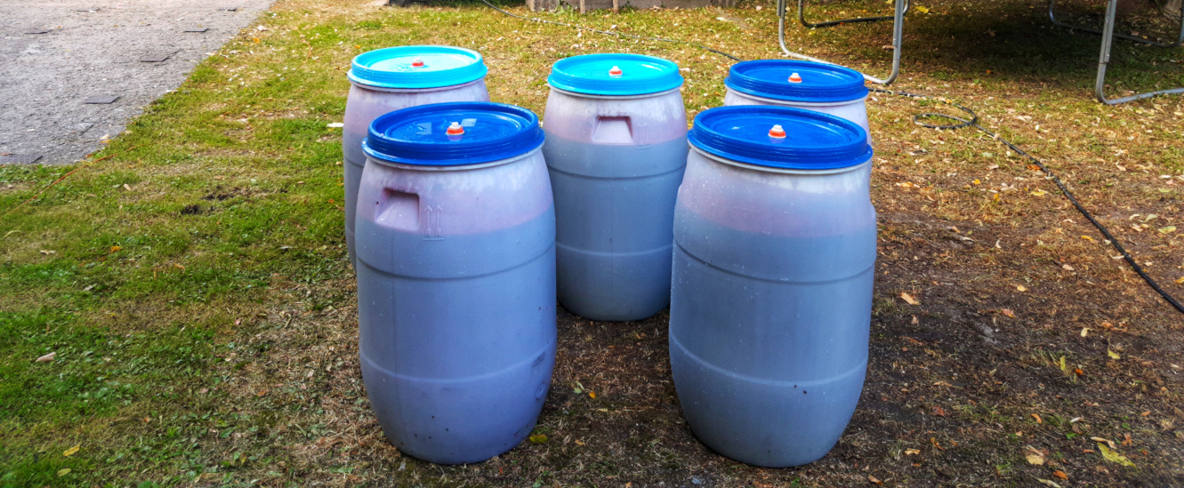 Featured image of post Blubb - Fermentation of Elderberries