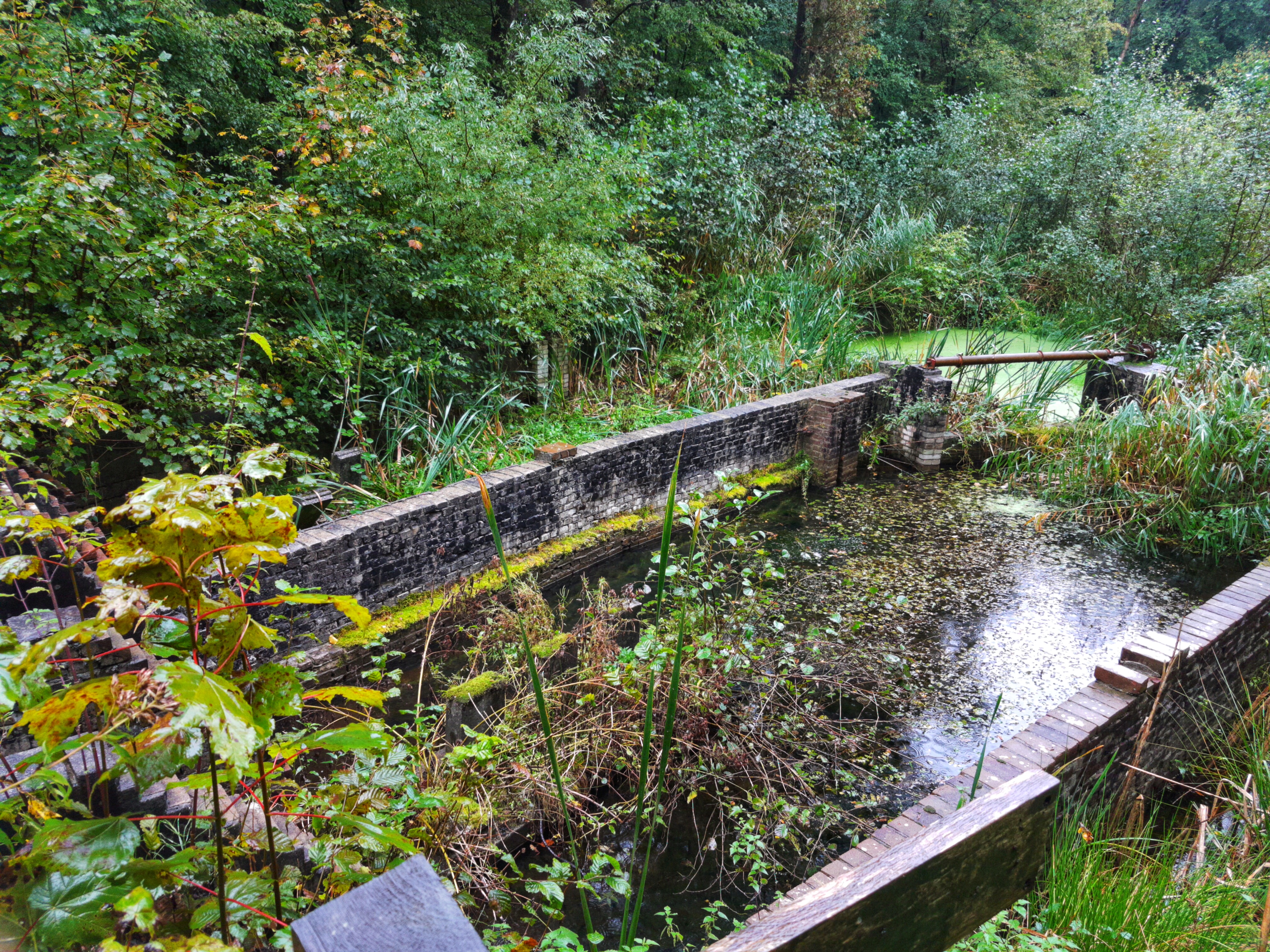 One of the many water ponds