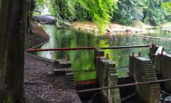 Featured image of post Waterloopbos