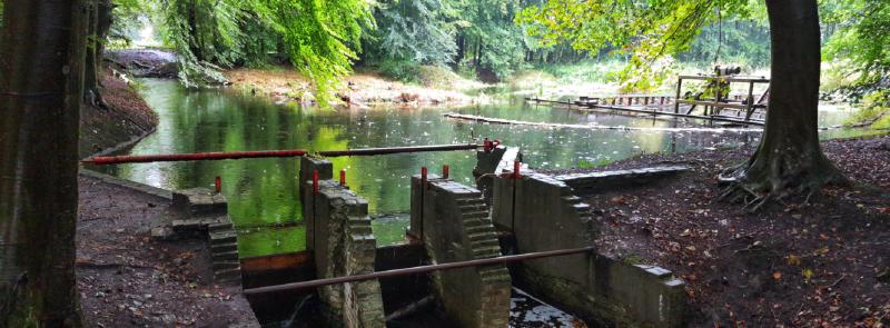 Featured image of post Waterloopbos