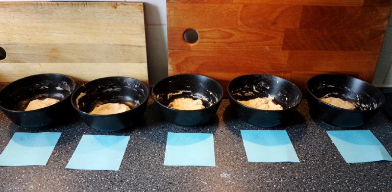 Featured image of post Experimenting with flour hydration levels