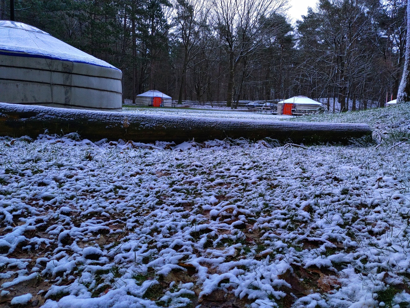 Snowy morning makes the amtosphere perfect