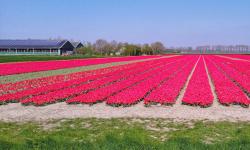 Featured image of post It's this time of the year again