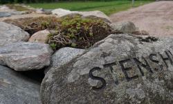 Featured image of post Stenshult Mellangård