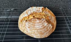 Featured image of post phoenix' Brot Formel v1.1