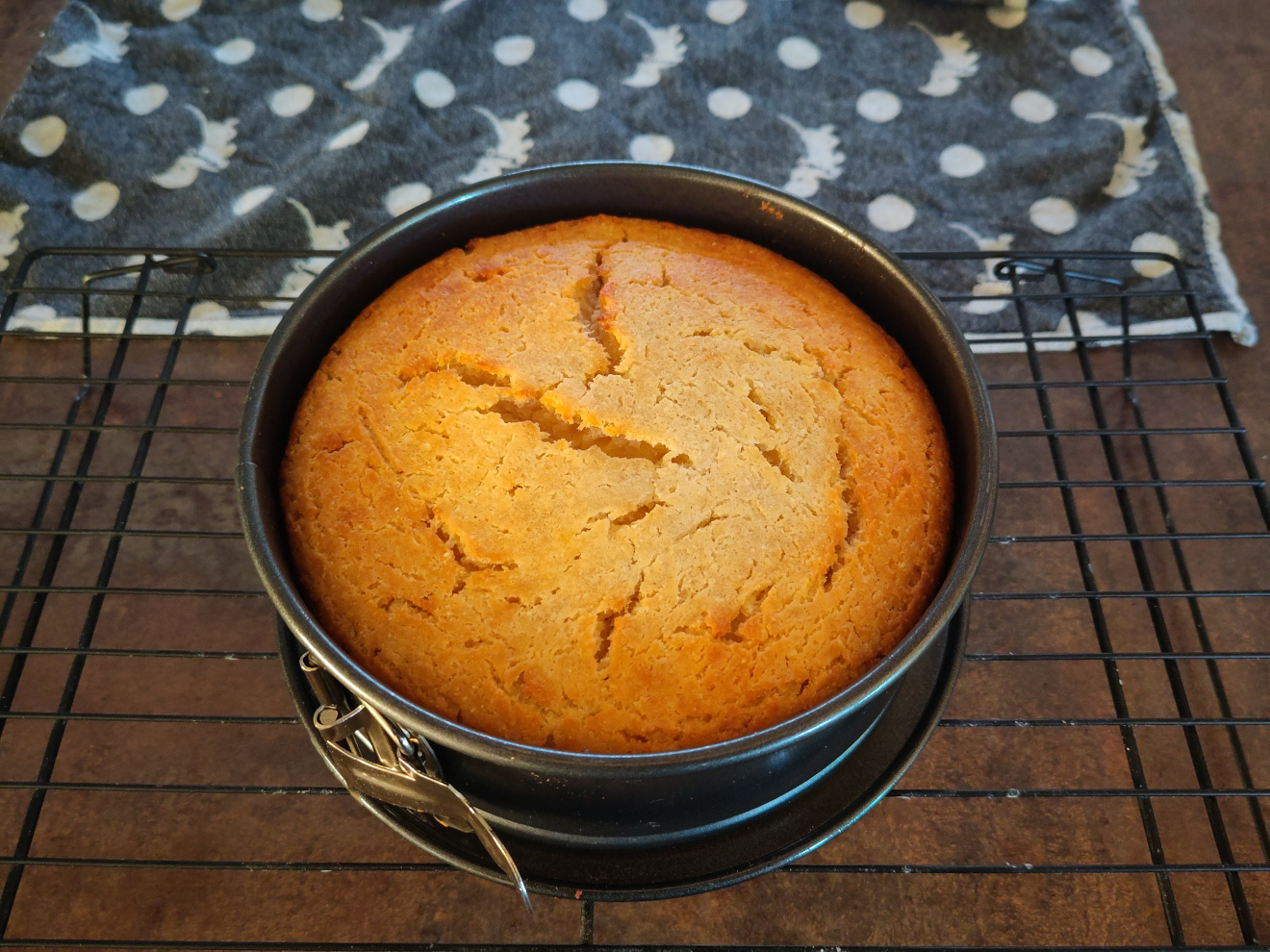 Featured image of post Kuchen Evelyn