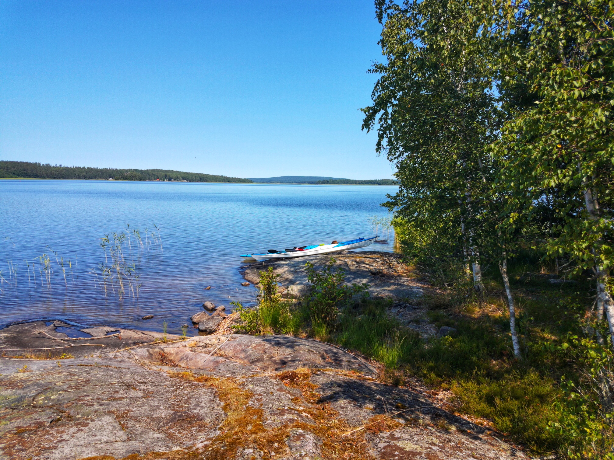 The rental kayaks