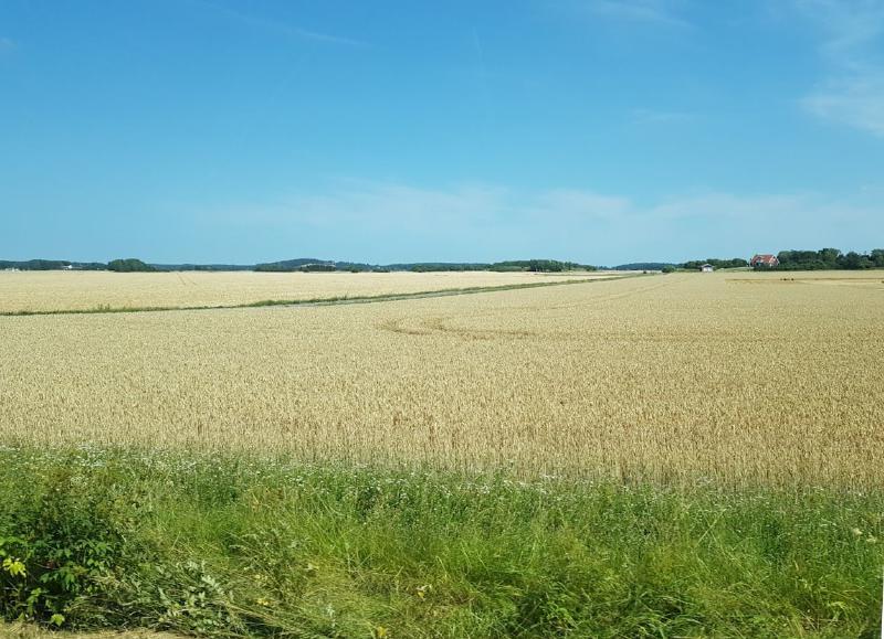 Featured image of post Sundby castle and Sigurdsristningen