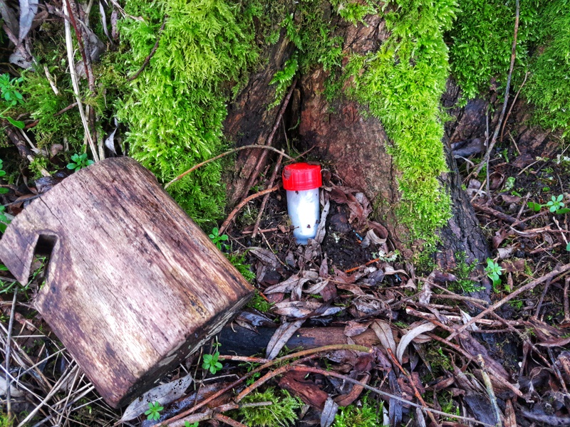 Small box used as Geocache next to a tree