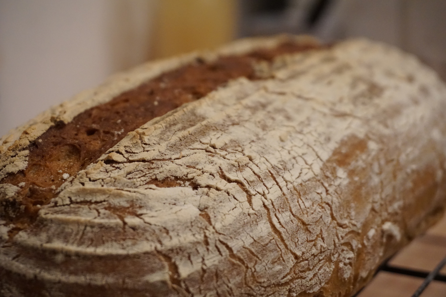 Featured image of post Rye-wheat bread