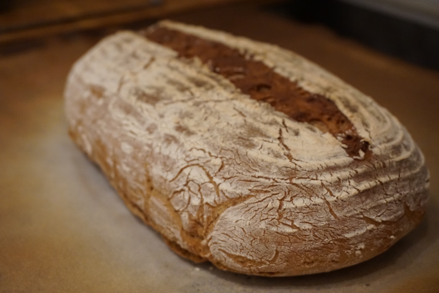 Freshly made brown bread with white flour remnants on top