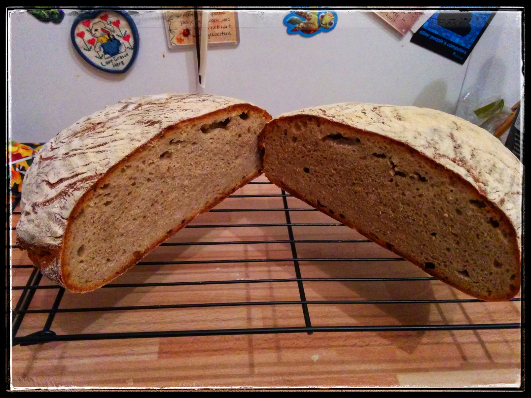 Cut bread with view to the inside